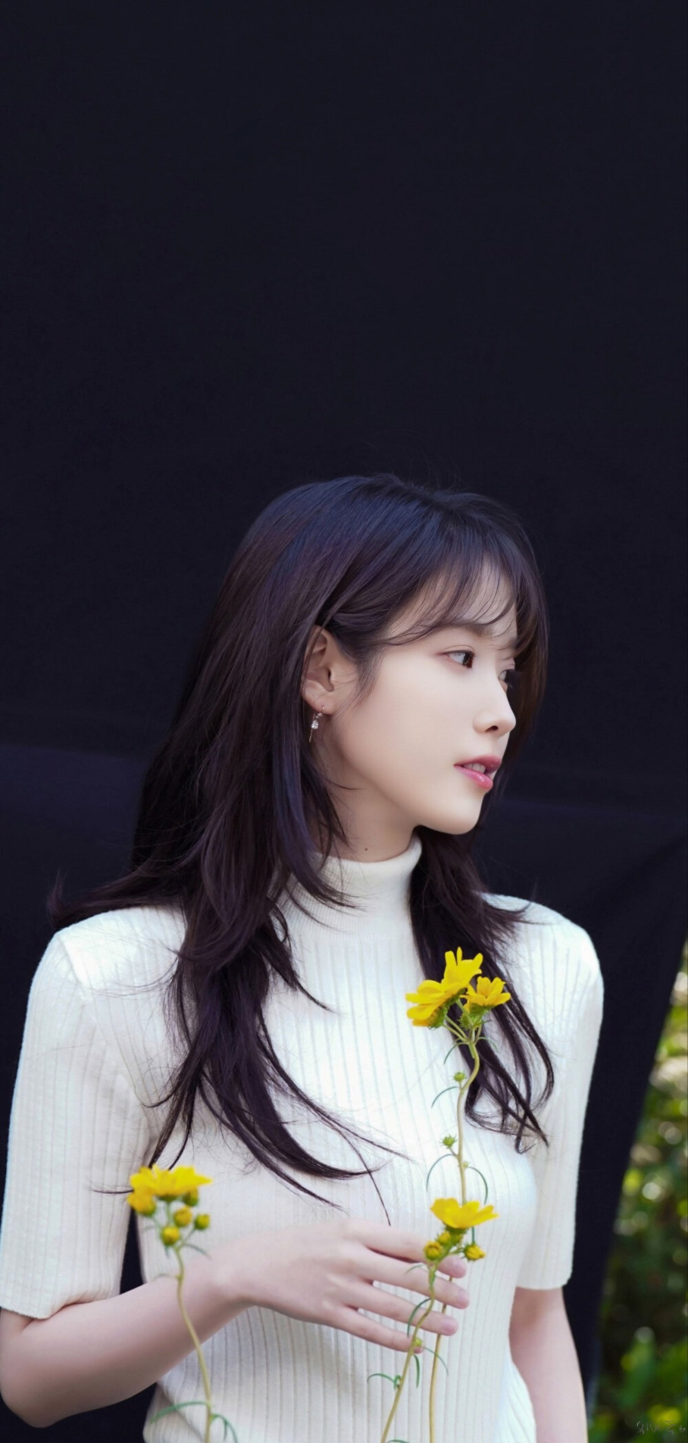 IU 壁纸