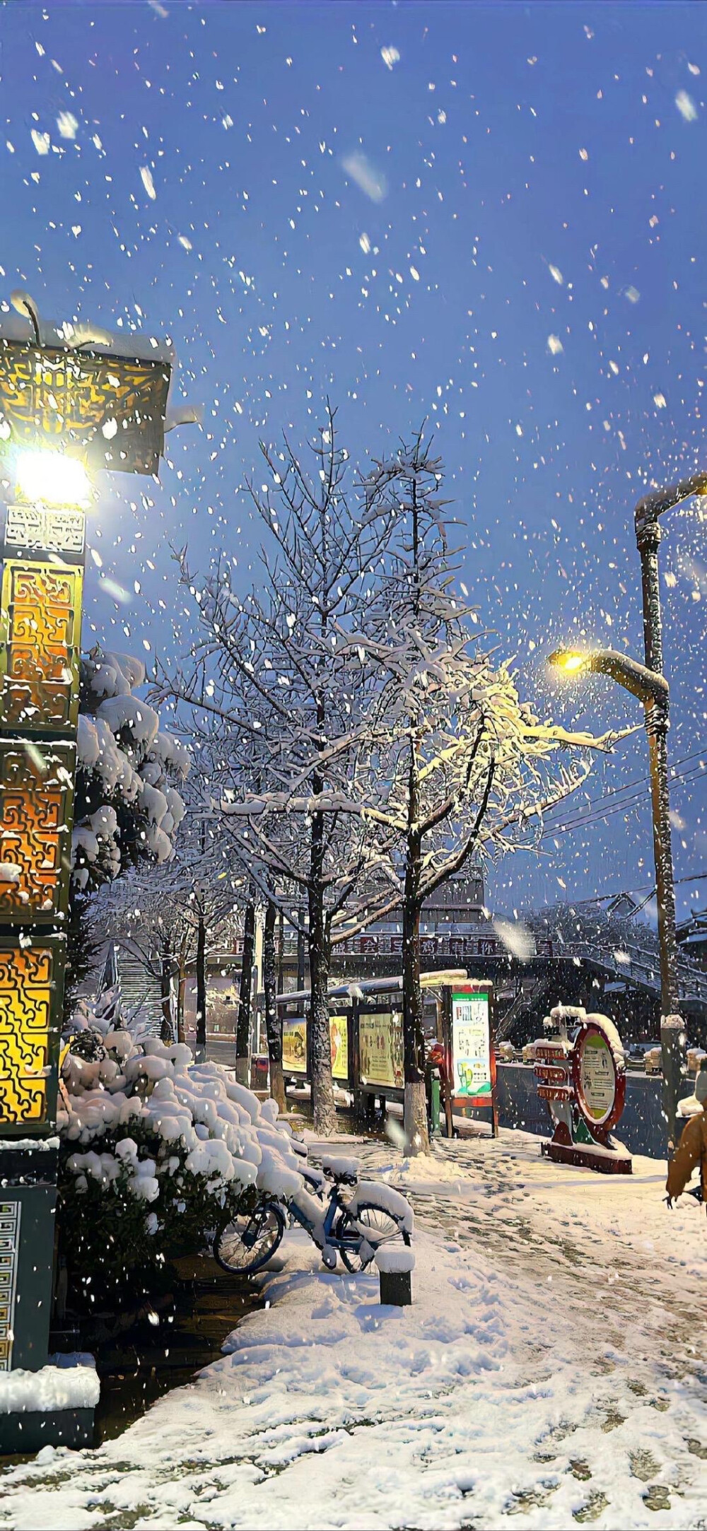 雪景壁纸