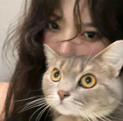 抱猫女头