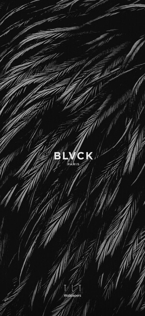 「黑色 black」