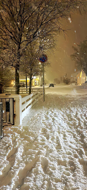 雪景壁纸