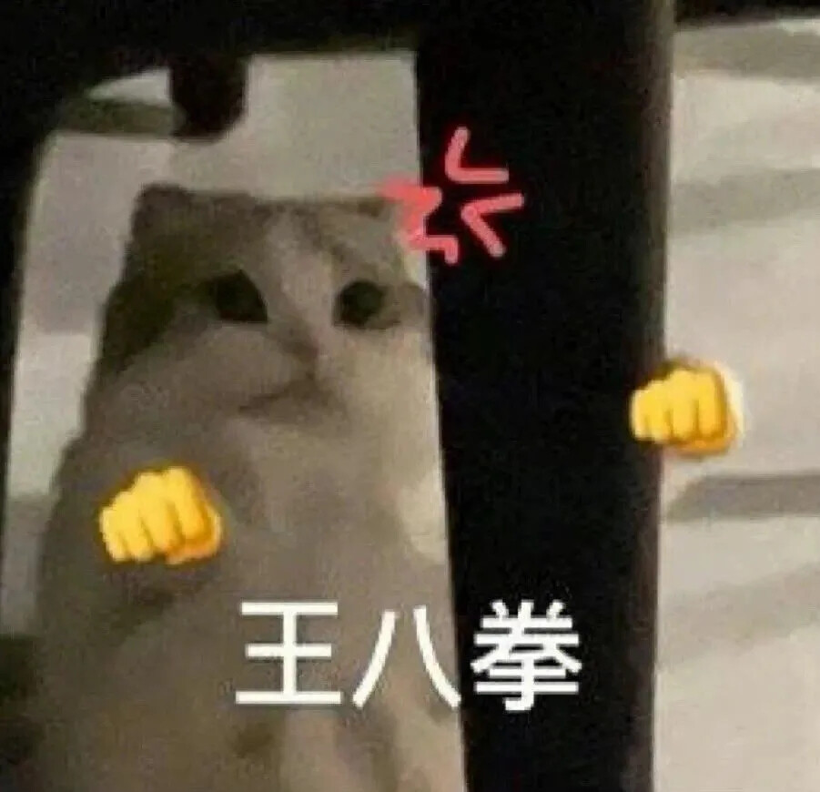 猫猫表情包