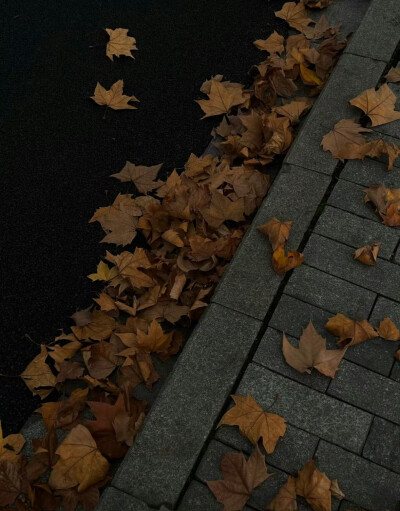 ゛我表达不出的情绪 雨天替我说了。