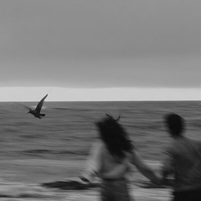 Wechat背景图
(图源网络，侵删)