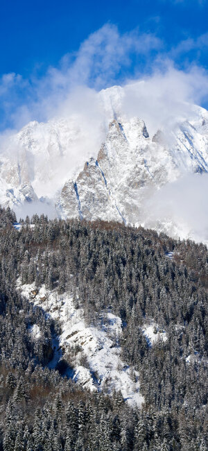 雪景壁纸