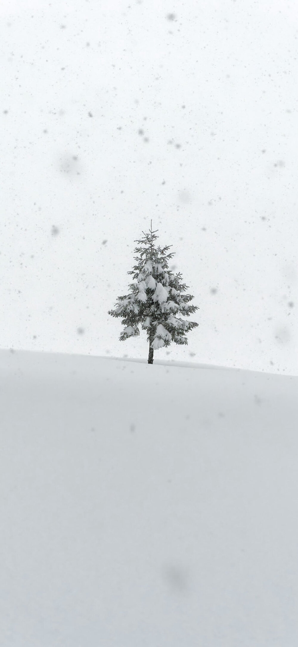 雪景壁纸