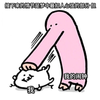 自嘲熊/淡淡的熊