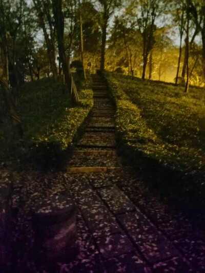 在无人雨夜，静享绝美晚景