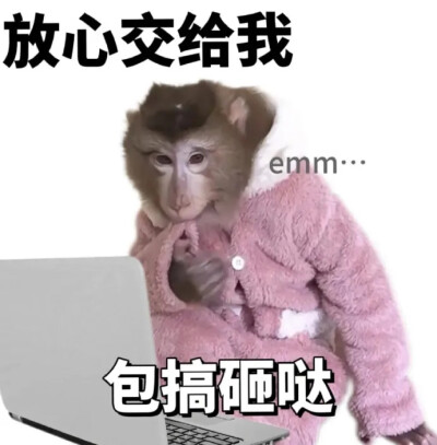 表情包