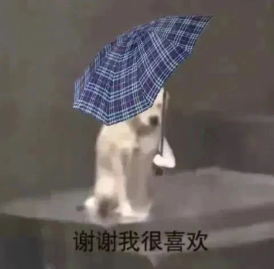 搞笑头