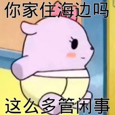 表情包