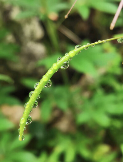 千里江山绽娇妍，只此青绿映碧天。