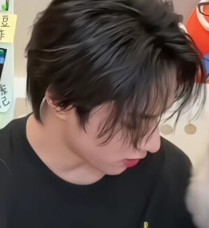 狗
