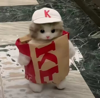 kk猫