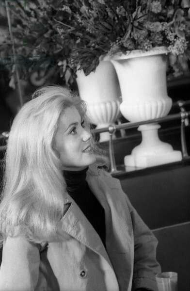 Catherine Deneuve 