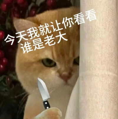 表情包