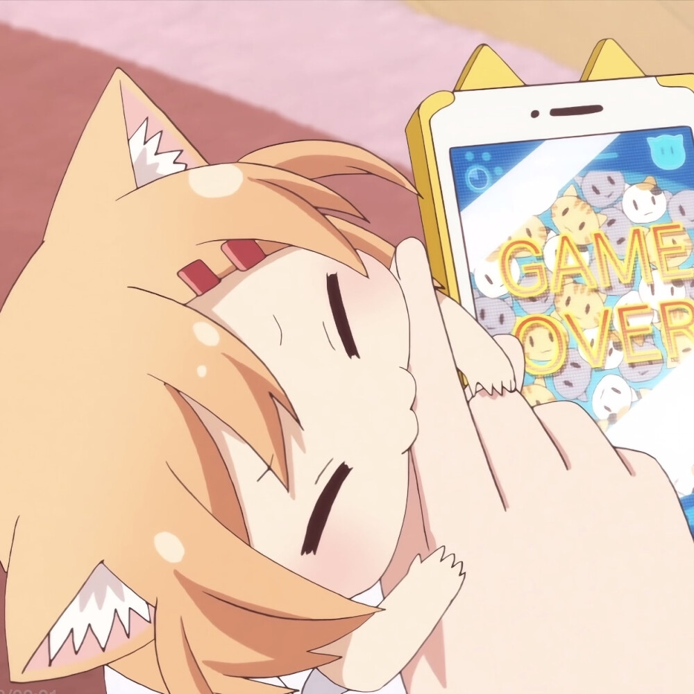 猫咪日记