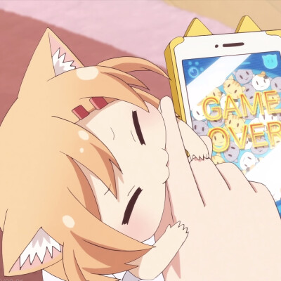 猫咪日记