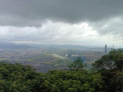 拍下的风景。