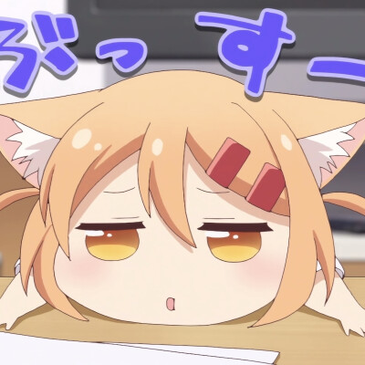 猫咪日记