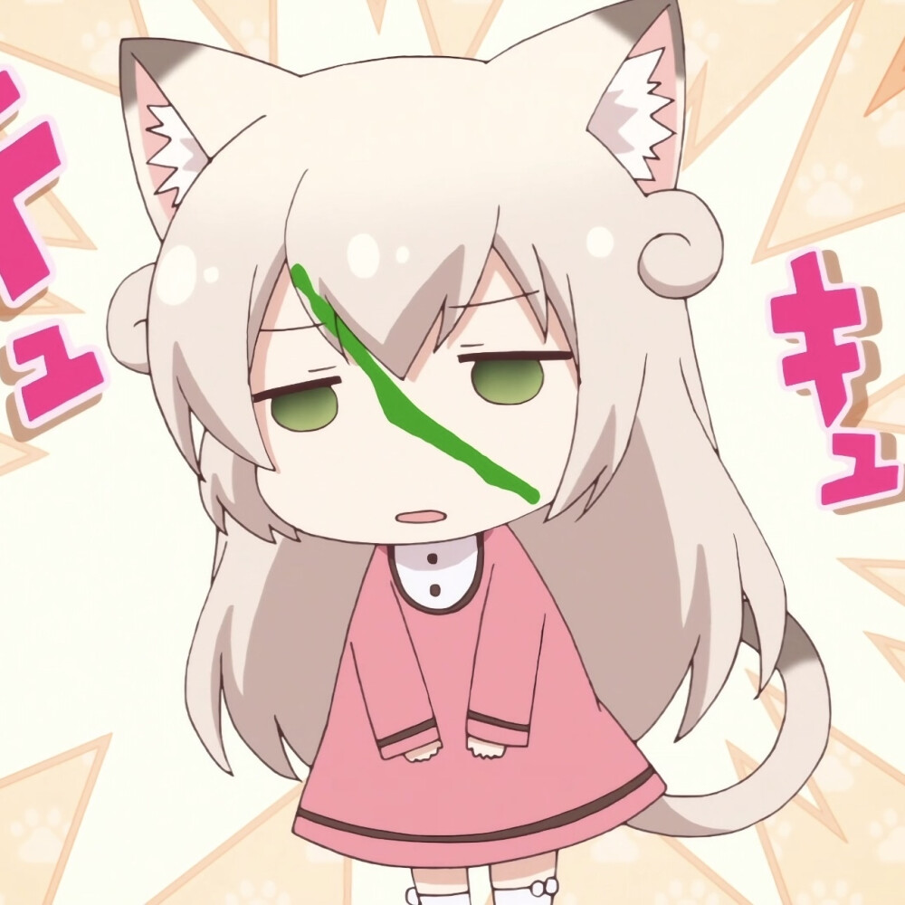 猫咪日记