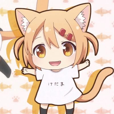 猫咪日记