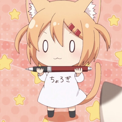 猫咪日记