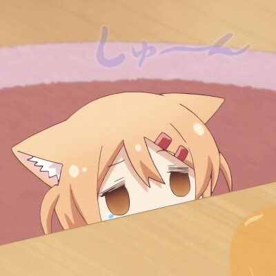 猫咪日记