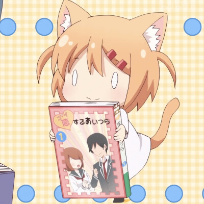 猫咪日记
