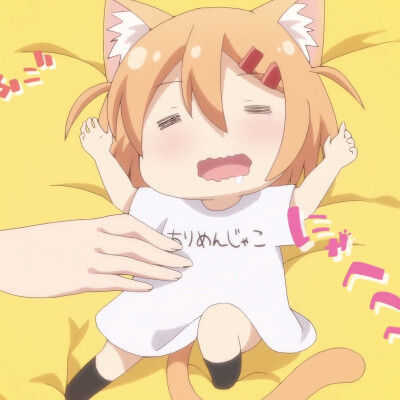 猫咪日记