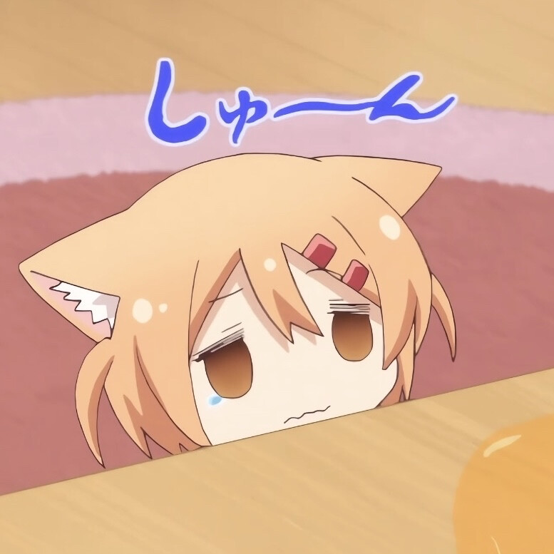 猫咪日记