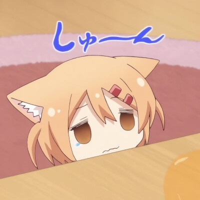 猫咪日记