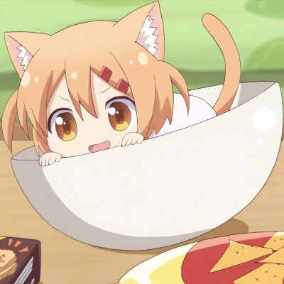 猫咪日记