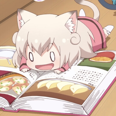 猫咪日记