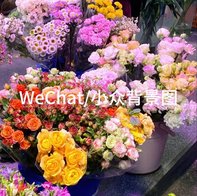 记录生活 用加字的方式提高图片bi格哈哈哈