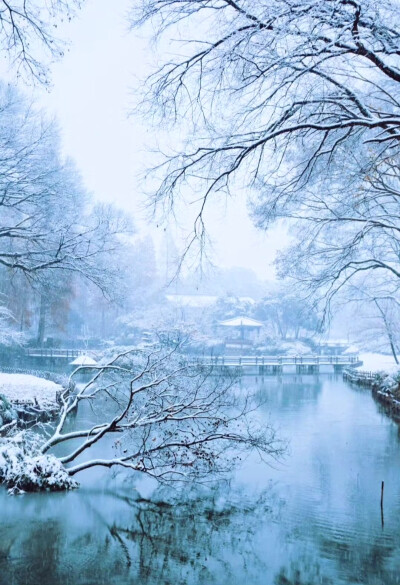 喜欢烟花也喜欢你，喜欢与你共看的大雪弥天也喜欢携手的盛夏光年