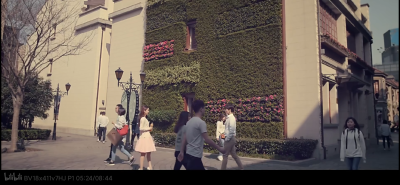 广告茉莉之恋 赵丽颖杨洋