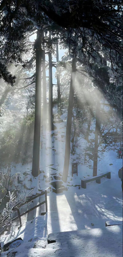 冬天氛围壁纸