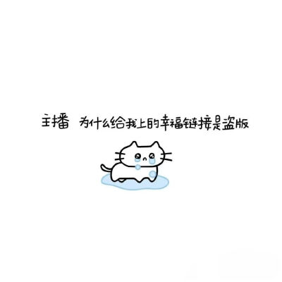小猫文字壁纸