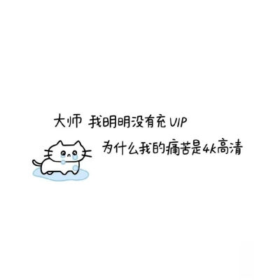 小猫文字壁纸