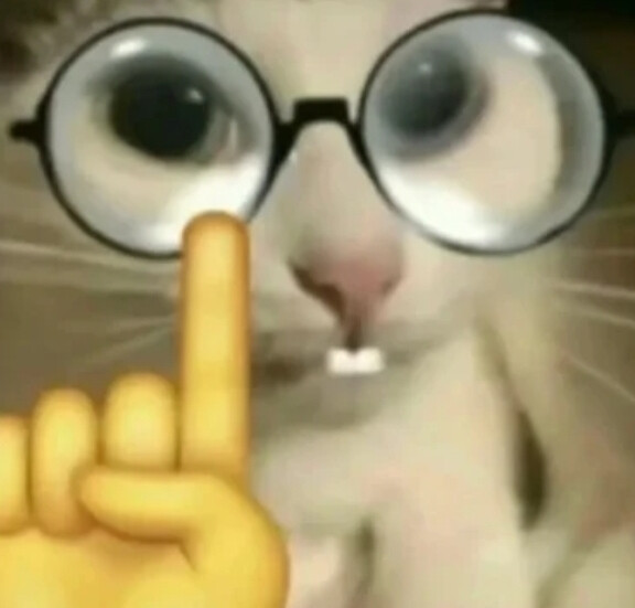 猫猫表情包