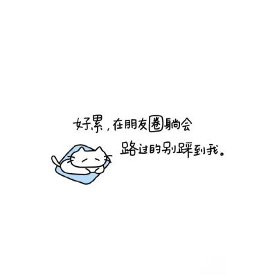 小猫文字壁纸