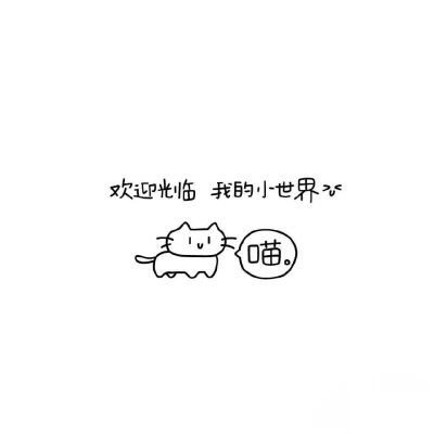 小猫文字壁纸