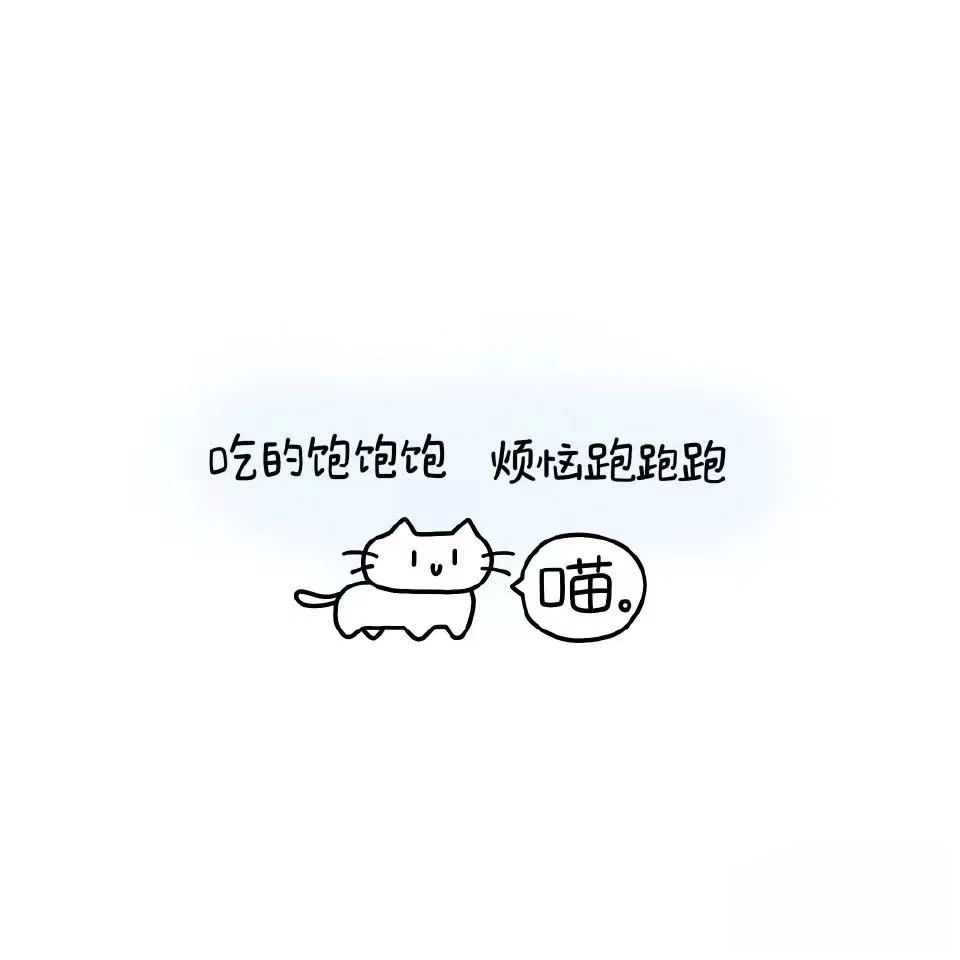 小猫文字壁纸