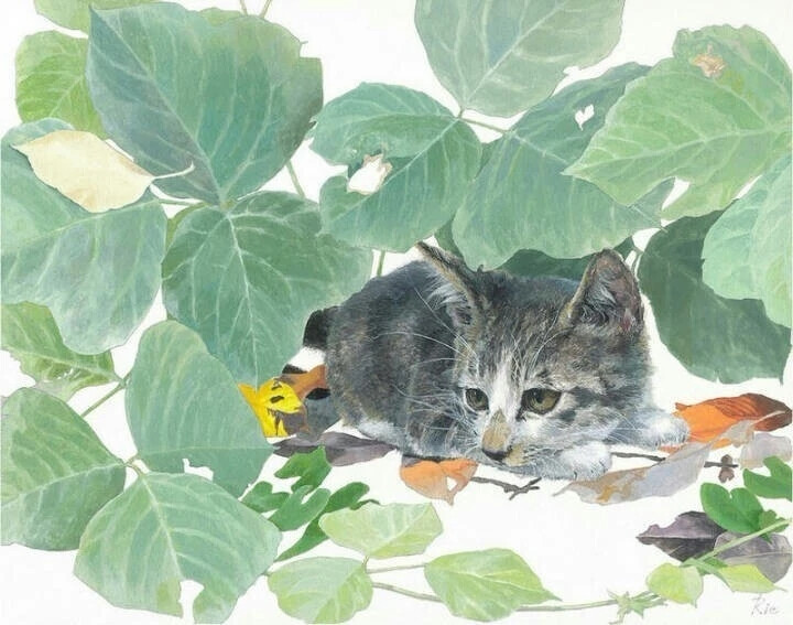 植物与猫咪 | 日本水彩画家 松江利恵（Tako Masaru） ​​​​
