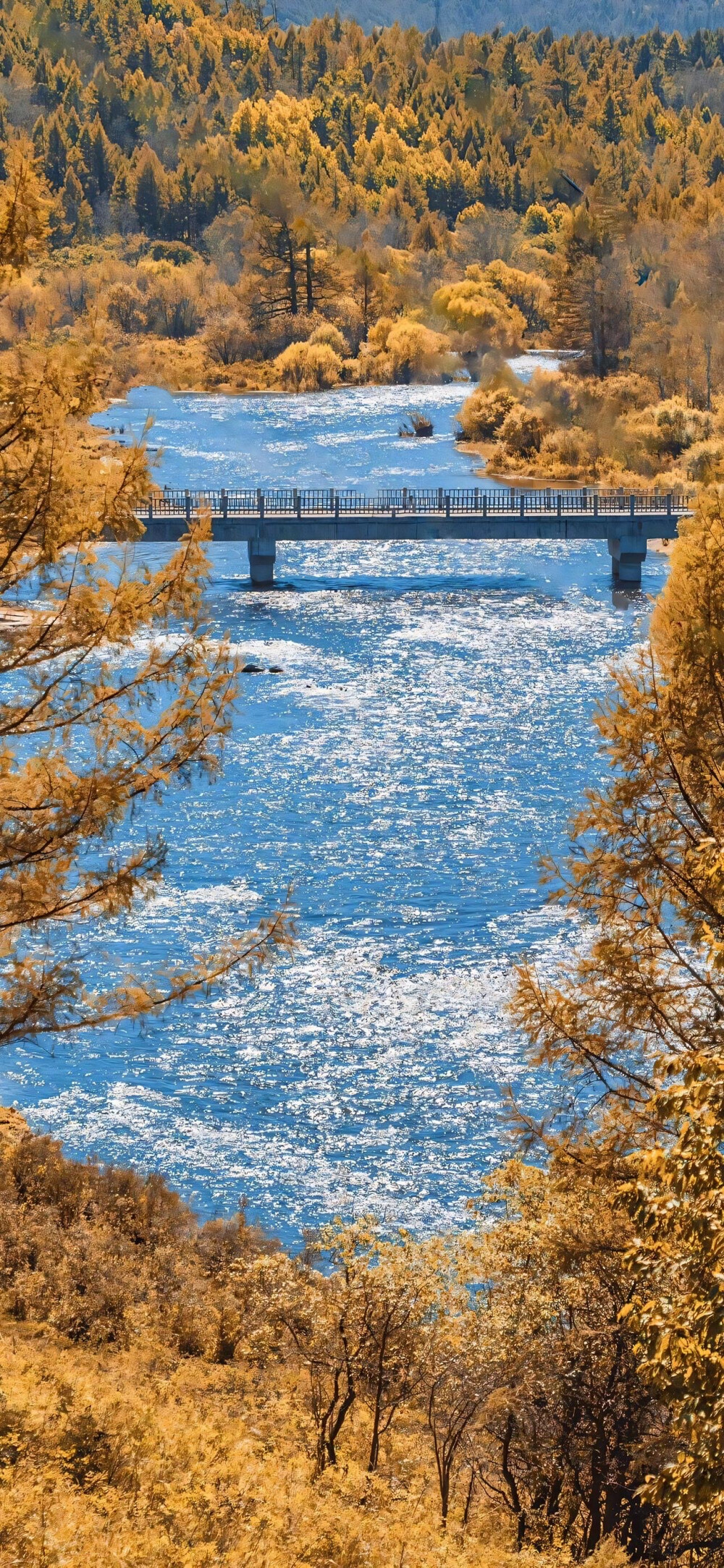 风景