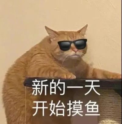 猫猫表情包