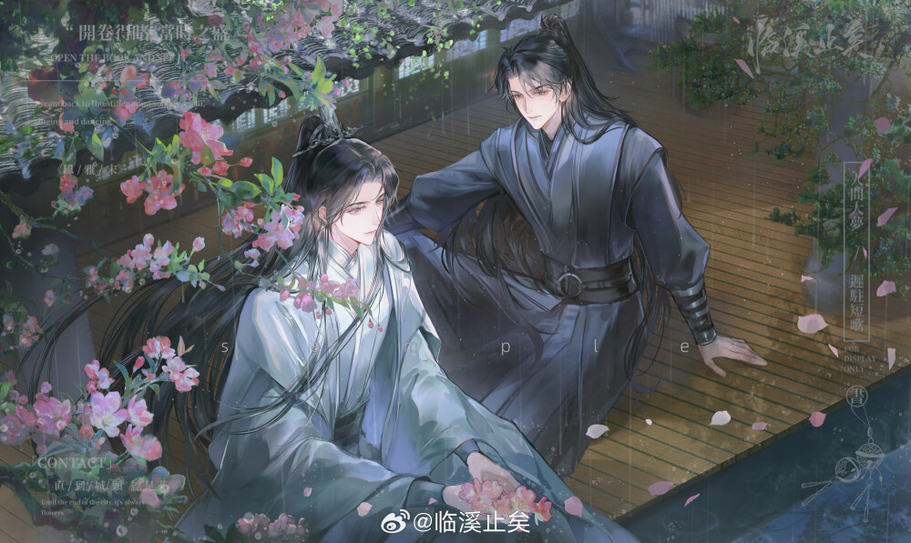 二哈和他的白猫师尊