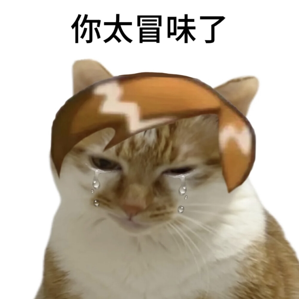 橘猫表情包