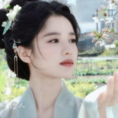 张婧仪